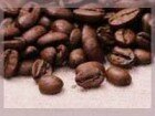 Coffee export